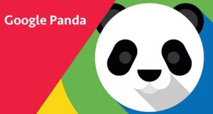 Google panda back là gì